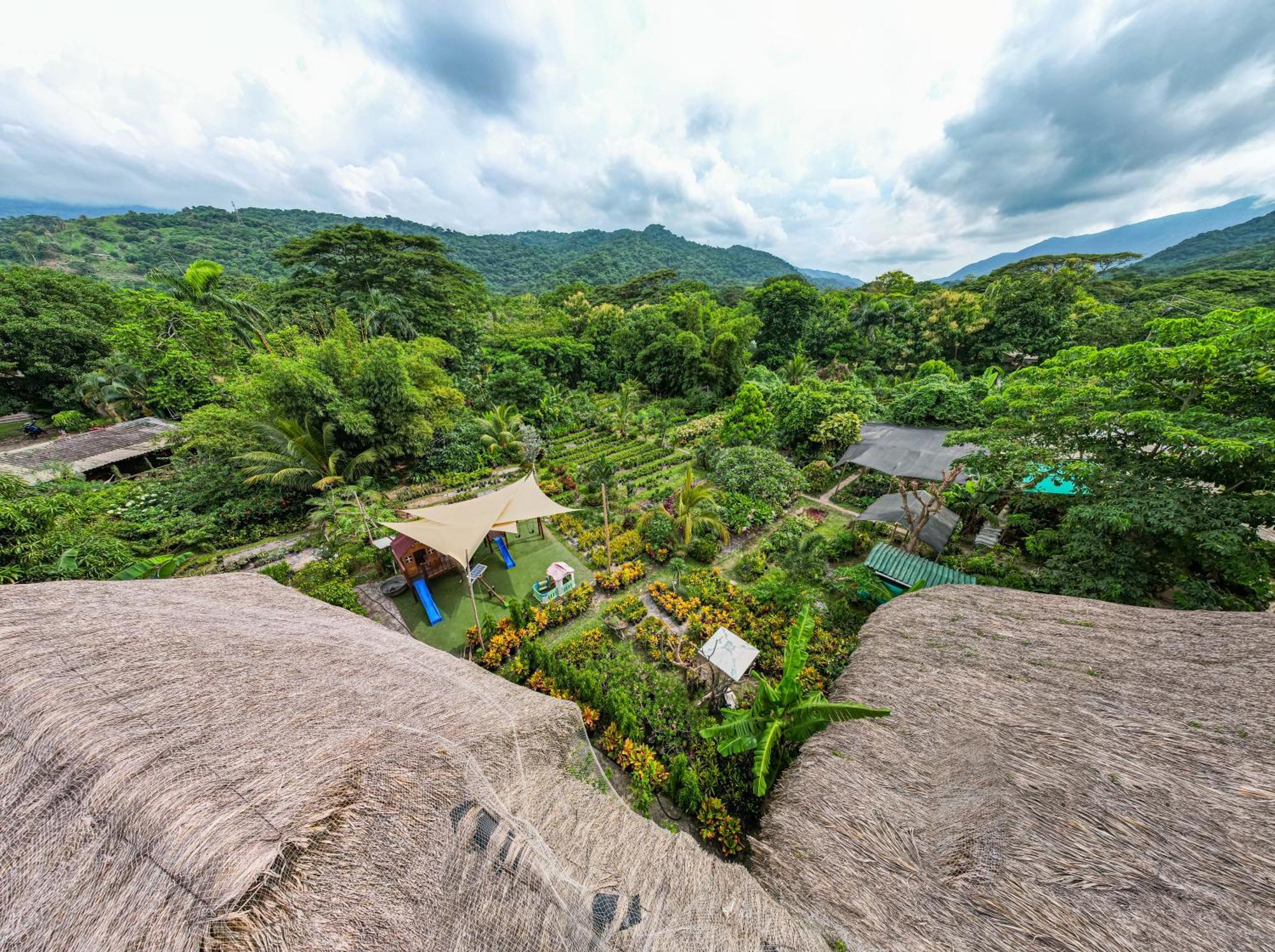 Portales Del Tayrona Garden Hotel Calabazo  外观 照片